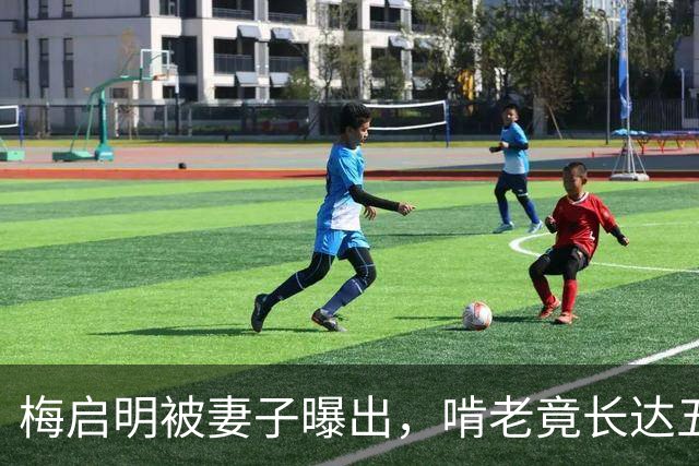 梅启明被妻子曝出，啃老竟长达五十年，还逼17岁儿子停学打工